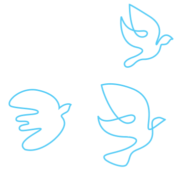 birds.png